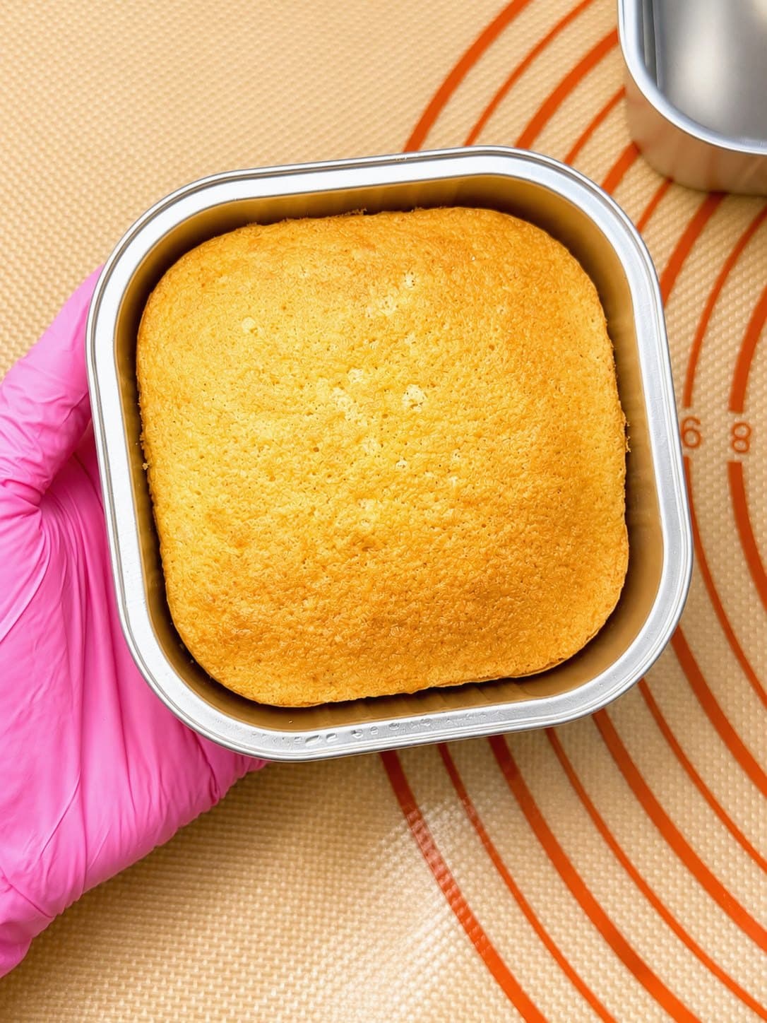 A baked sponge in its square foil tray, held in a gloved hand.